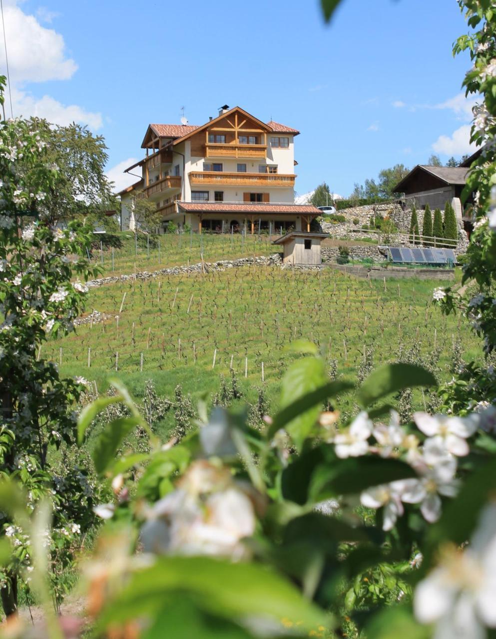 Trinnerhof Natz-Schabs Exteriér fotografie